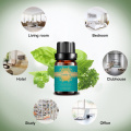 Factory Supply Bulk Price Fragrance Vanilla Essential Oil