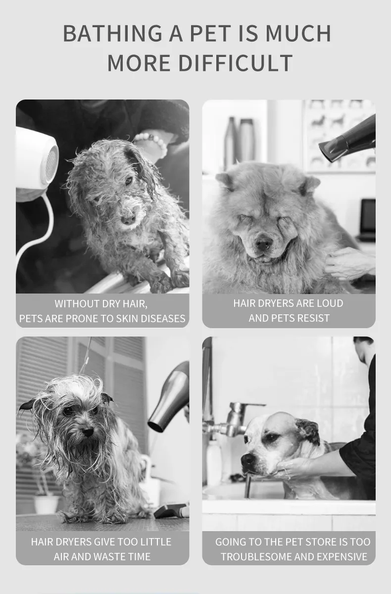Automatic Pet Hair Grooming Dryer for Dogs and Cats Pet Dryer