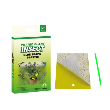 Indoor Potted Planted Insect Sticky Trap