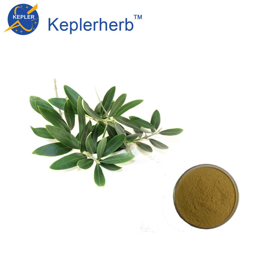 Kräuter-/Kräuter-/Pflanzen -Olivenblatt -Extrakt Oleuropein ISO/HACCP