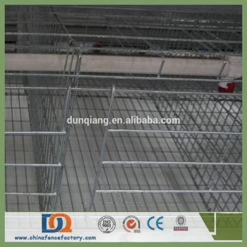 Trade Assurance 3 Tier or 4 Tier Chickens in Battery Cages