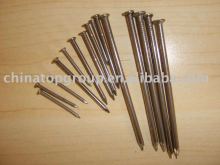 umbrella roofing nails screws dry wall nail screws