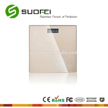 electronic scale for human body