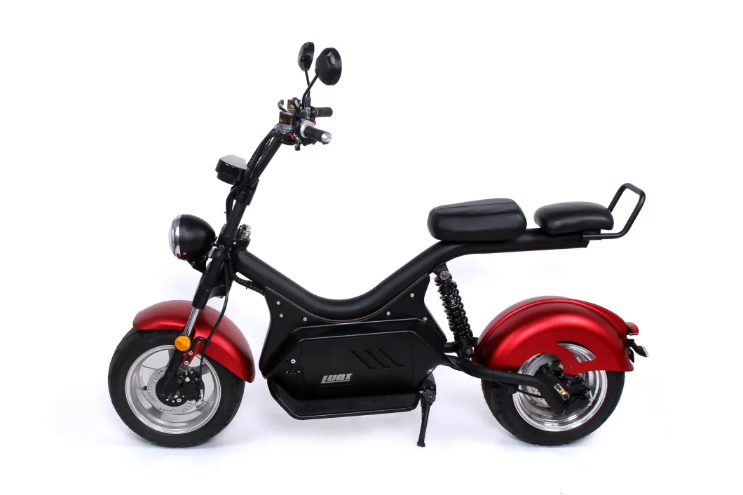 Caricamento pesante LED LED Luce Europeo Magazzino Luqi Mobility Motorcycle elettrico per la famiglia