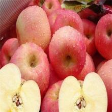 Fuji red apple at cheap price