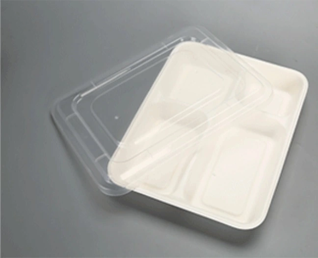 Biodegradable Composable Sugarcane Bagasse Lunch Trays