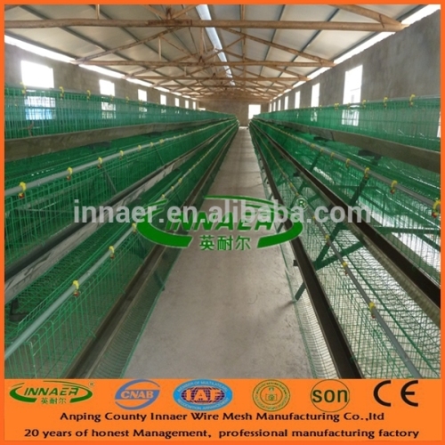 PVC coated A type Chicken layer cage