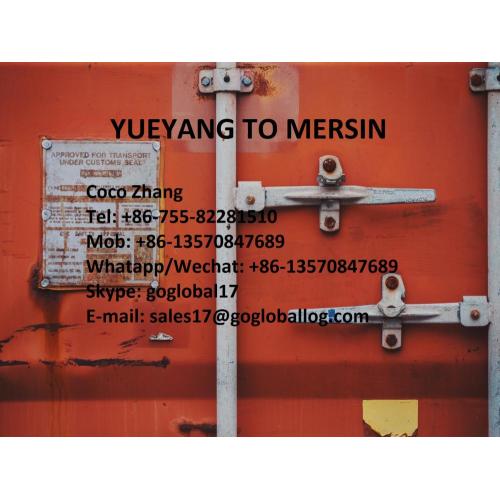 Hunan Yueyang Sea Freight to Turkey Mersin