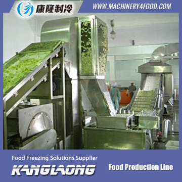 500Kg/H fruit drying production line