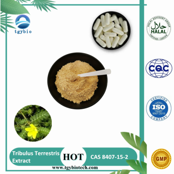 Tribulus Terrestris Extract 90% Saponins Powder