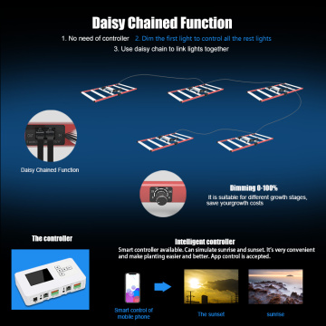 Spectrum complet pliable 320W LED CLUI