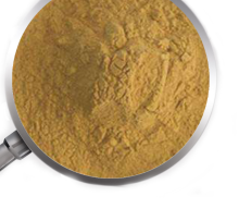 Best price 5%Chlorogenic acid Honeysuckle flower Extract