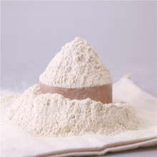 Dehydrated vegetable DEHYDRATED garlic powder