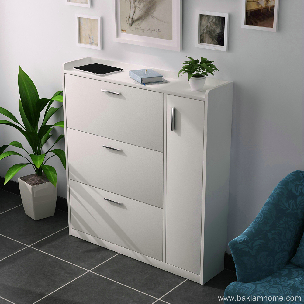 Modern shoes cabinet with door