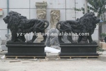 A Pair Of Black Marble Lion Statue (AMS-A045)