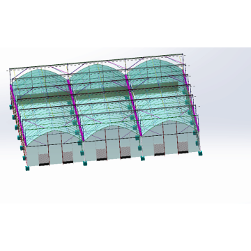 6m/8m/10m Large Multi span Film Greenhouse