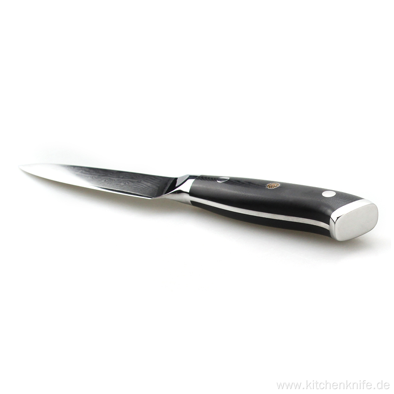 TOALLWIN Heavy Duty VG10 Damascus Steak Knife