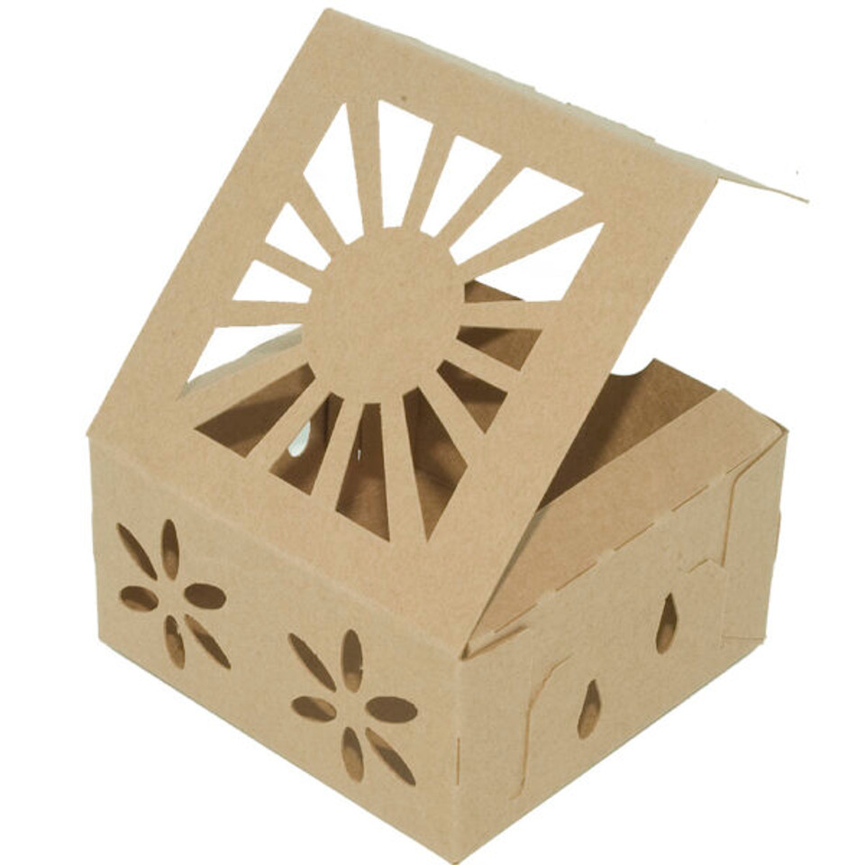 Biodegradable Clamshell Containers for Fruits