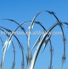 Razor tape wire