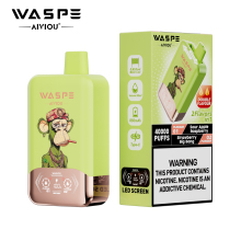 WASPE Double Flavor 40000 PUFFS