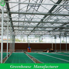 4mm twin wall polycarbonate greenhouse