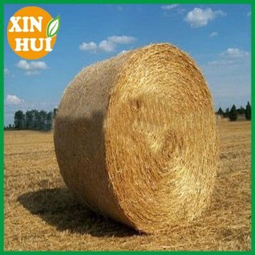 Drawing Plastic Modling Type bale net wrap