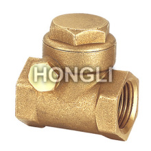 Shower Check Valves