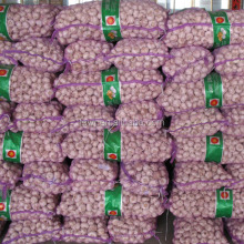China Garlic new garlic price garlic