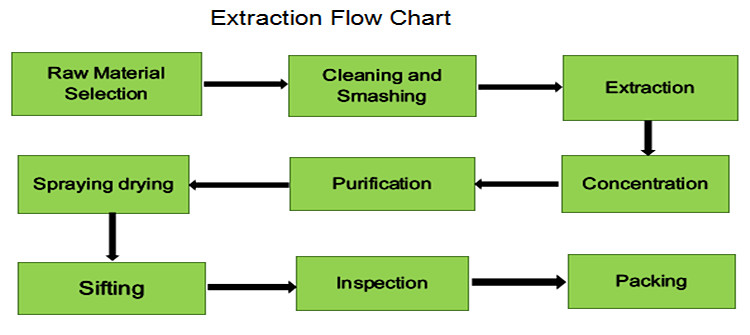 Extraction Flow Chart Extraction Flow Chart