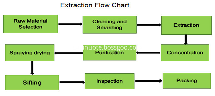 Extraction Flow Chart