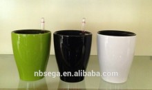 hot sale home decoration self water plastic cup pots