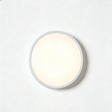 Ceiling lamp with smooth ambient lighting