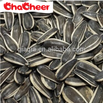 Pink roasting machines Sunflower Seeds price