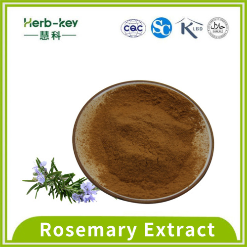 5% rosmarinic acid Rosemary Extract Powder
