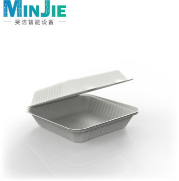 Oilproof Pulp Molding Clamshell