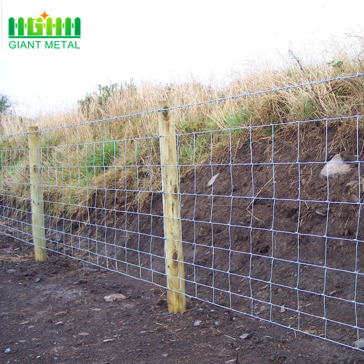 Cheap Galvanized Wire Mesh Farm Field Fence