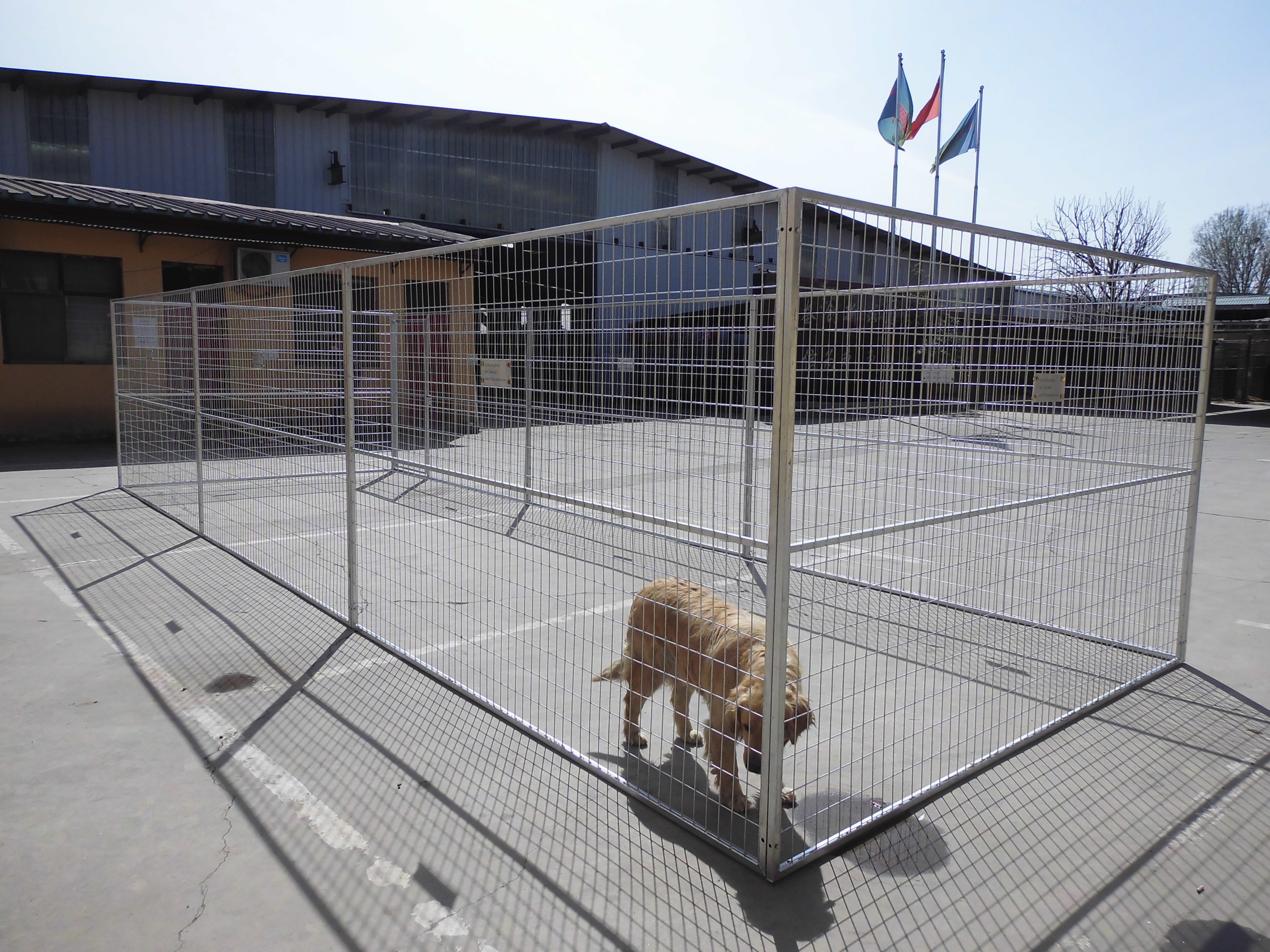 2021 Hot Sale Quality Galvanized Powder Coated Outdoor Dog Pen Dog Kennel(XMM-DK0)