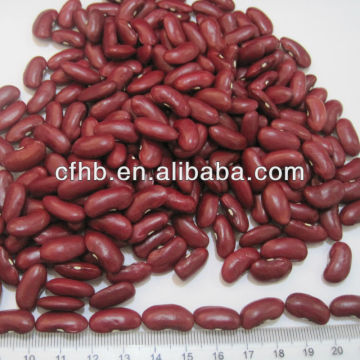 British red kidney beans /Dark Red Kidney Beans