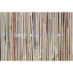Bamboo Cane Fence (HL-SCBF)