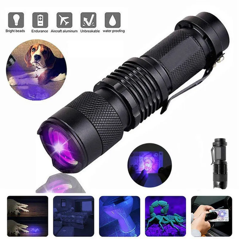 Portable UV Black Light Detector for Scorpion and Pet Urine Detection