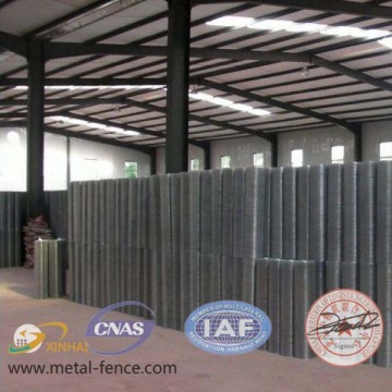 Superior welded wire net square for sale (Factory price)