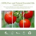 Organic Tomato Seed Oil | Pure Tomato Oil Pure and Natural