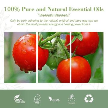 Organic Tomato Seed Oil | Pure Tomato Oil Pure and Natural