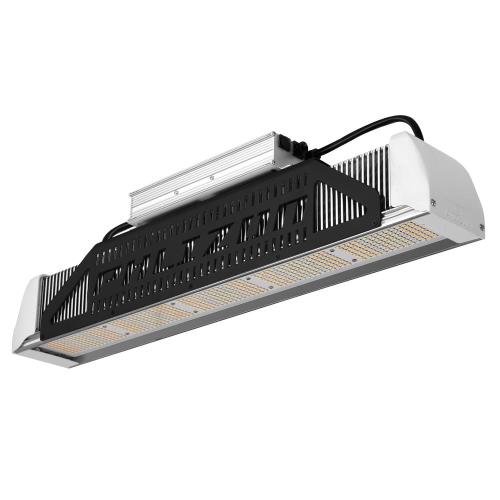 240w / 450w Led Quantum Board coltiva la luce più recente