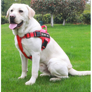 Verstelbare Outdoor Hond Vest Harness