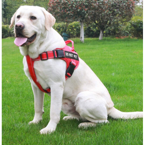 Adjustable Outdoor Dog Vest Harness