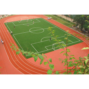 Asphal Cement PU Klebebinder Adhesive Courts Sportbelag Athletic Running Track