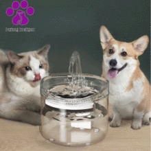 Dual Mode Pet Water Dispenser for Cats