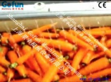 High Pressure Water Spray Fruit Vegtable Washing Machine