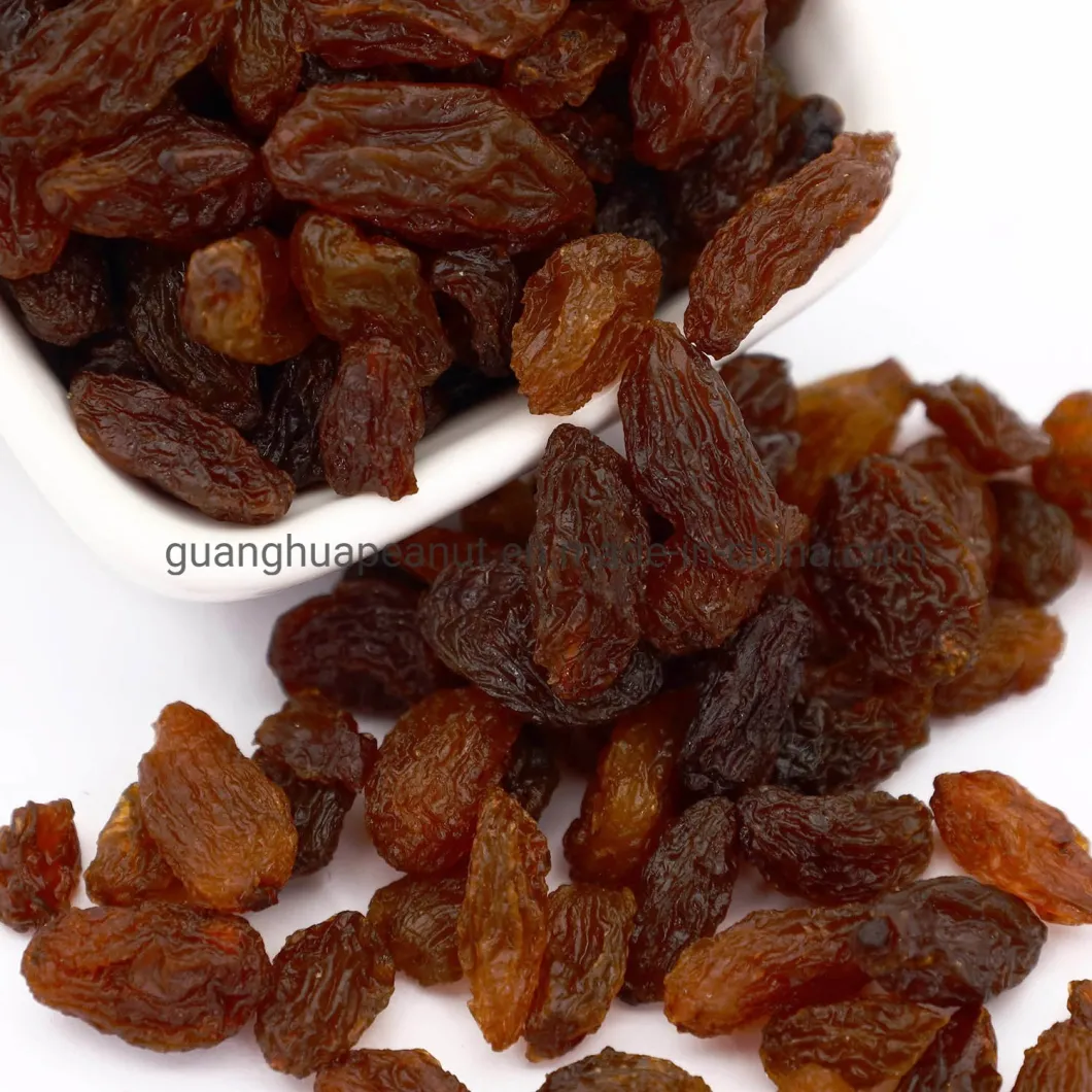 Export Standard Golden and Green Raisins in Hot Selling